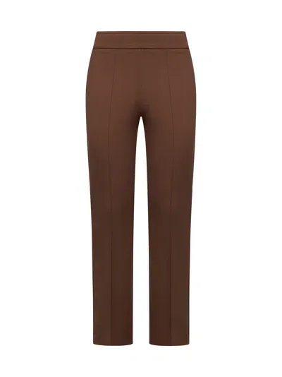 Blanca Vita Pants In Brown