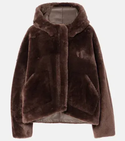 Blancha Shearling Bomber Jacket In Brown