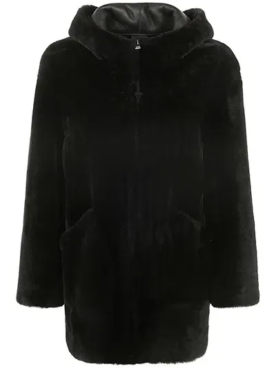 Blancha Shearling Jacket In Black