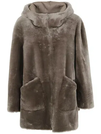 Blancha Shearling Jacket In Brown