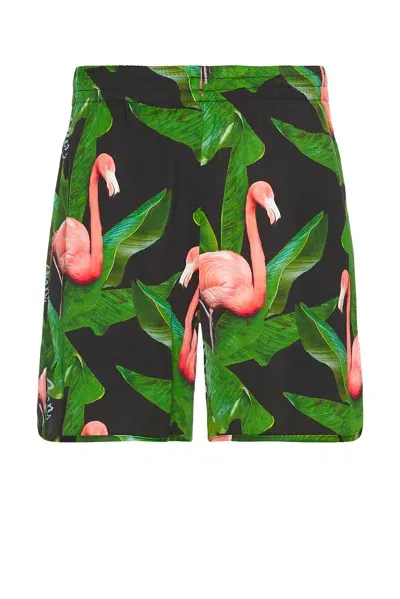 Blue Sky Inn Flamingo Swim Shorts In Green