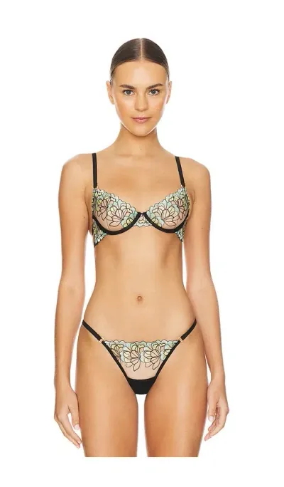 Bluebella Serena Embroidered Mesh Underwire Bra In Mint,lemon,black