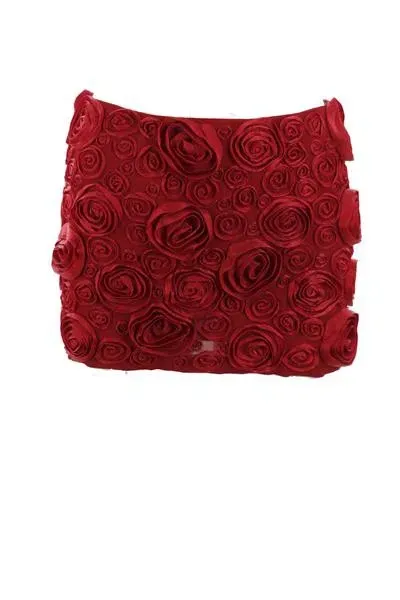 Blumarine Embroidered Mini Skirt In Red