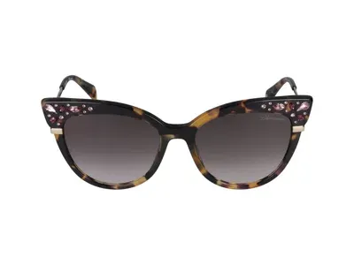 Blumarine Sunglasses In Purple/polished Havana