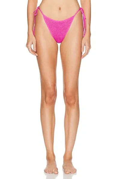 Bond Eye Anisha Bikini Brief In Wildberry