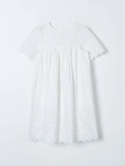 Bonpoint Dress  Kids Color Milk