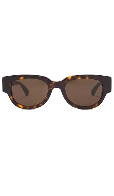 Bottega Veneta Cat Eye Sunglasses In Havana