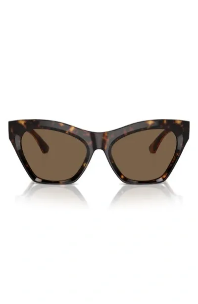 Burberry 55mm Cat Eye Sunglasses In Dark Havana