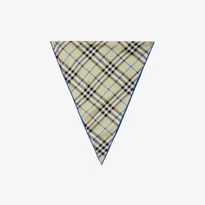 Burberry Check Silk Scarf In Lichen