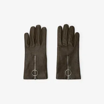 Burberry Leather Zip Gloves In Loch