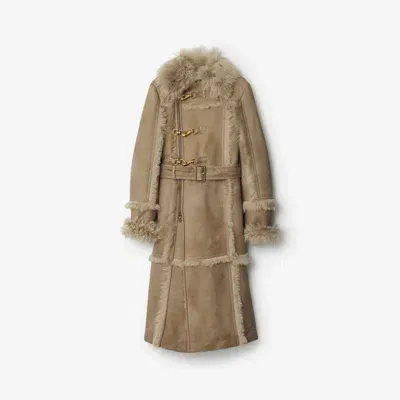 Burberry Shearling Coat In Field