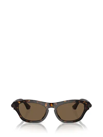 Burberry Sunglasses In Brown