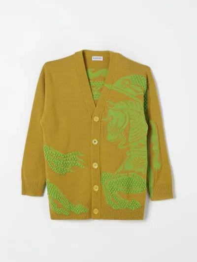 Burberry Sweater  Kids Color Yellow In Gelb