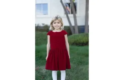 Busy Bees Babies'  Alexa Dropwaist Party Dress In Red Velvet