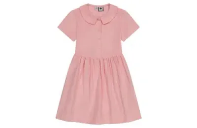 Busy Bees Babies'  Charlotte Point Collar Dress In Light Pink Corduroy