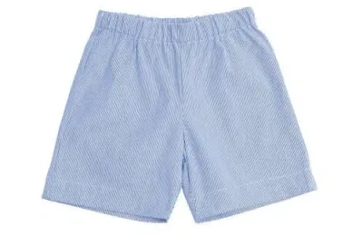 Busy Bees Babies'  Jd Pull-on Shorts In Navy Seersucker Stripe