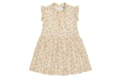 Busy Bees Babies'  Kinsley Dropwaist Dress In Flora