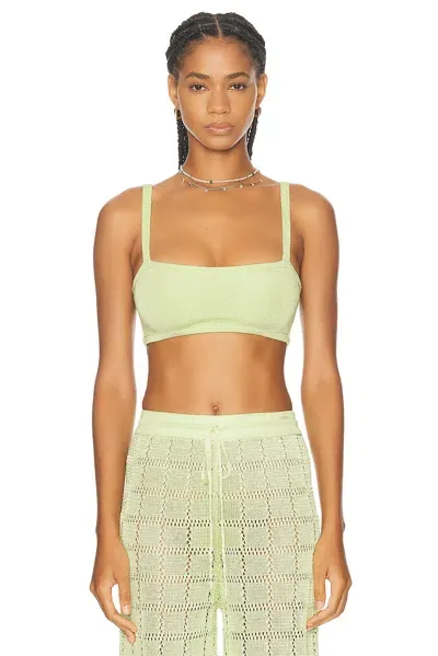 Calle Del Mar Knit Bandeau Top In Sweet Lime