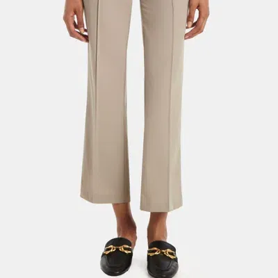 Capsule 121 The Oriole Pant In Parker Tech In Tan