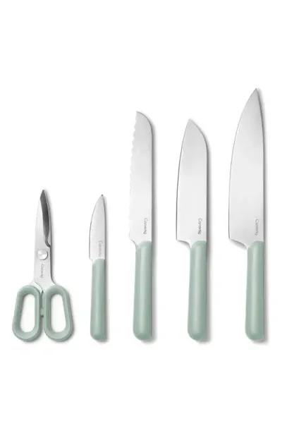 Caraway 5-piece Knife Set In Mist