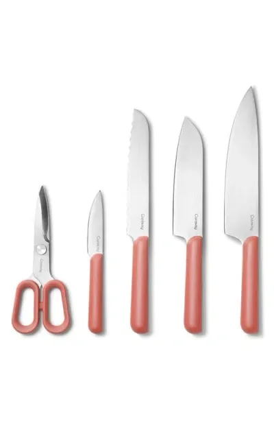 Caraway 5-piece Knife Set In Perracotta