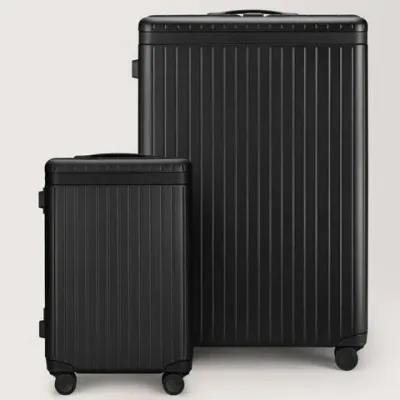 Carl Friedrik Check-in And Carry-on Luggage Set - Polycarbonate And Aluminium - Black In Black / Black