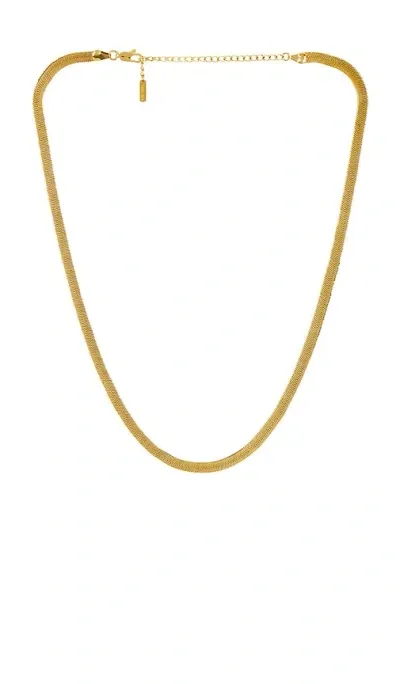 Casa Clara Yesenia Necklace In Gold