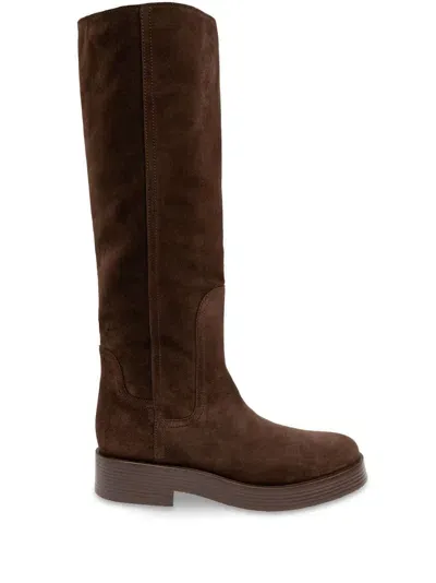 Casadei Suede Knee-high Boots In Brown