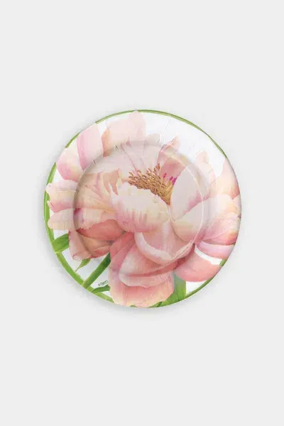 Caspari Chelsea Garden Paper Salad & Dessert Plates In Pink