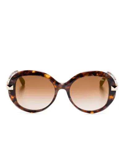 Cazal 8519 Sunglasses In Brown