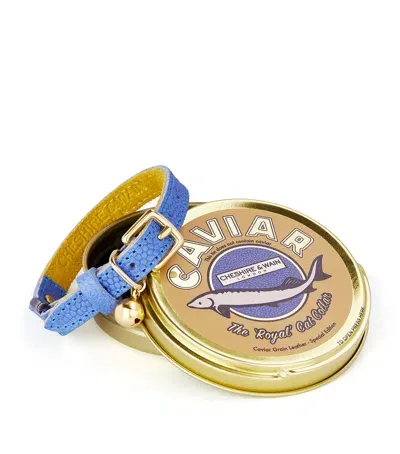 Cheshire & Wain Caviar Cat Collar In Blue