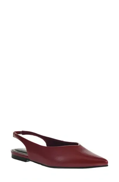 Chinese Laundry Hadiya Pointed Toe Slingback Flat In Wine