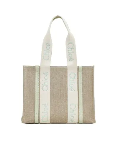 Chloé Bags.. In Light Eucalyptus