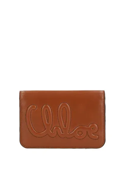 Chloé Wallet  Woman Color Brown In 棕色