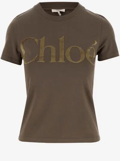 Chloé Logo Print Round Neck T-shirt In Brown