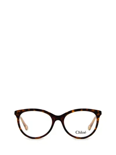 Chloé Eyeglasses In Brown