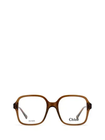 Chloé Eyeglasses In Brown