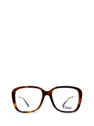 Chloé Eyeglasses In Brown