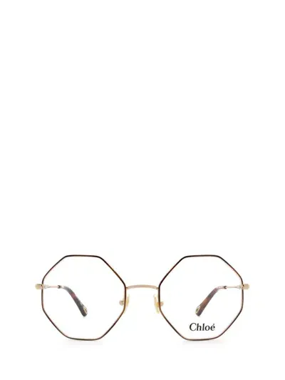 Chloé Eyeglasses In Gold & Havana