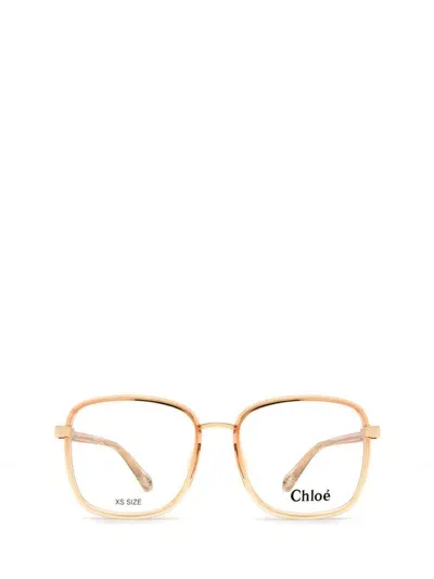 Chloé Eyeglasses In Orange