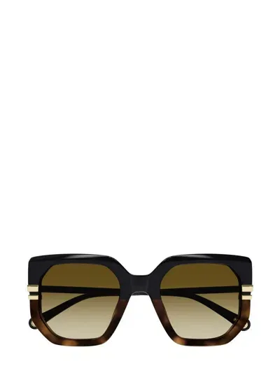 Chloé Eyewear Oversized Square Frame Sunglasses In Multi