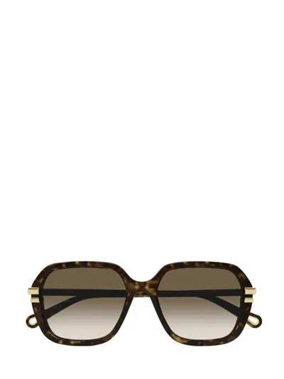 Chloé Eyewear Rectangle Frame Sunglasses In Multi