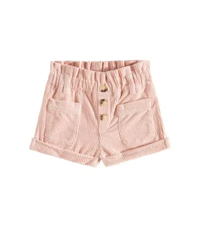 Chloé Baby Cotton Velvet Shorts In Pink