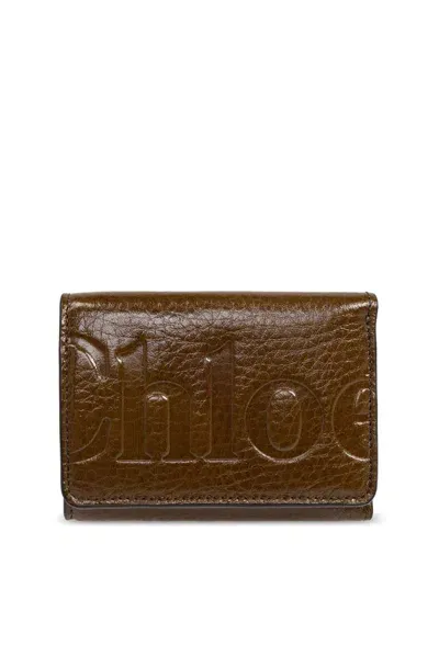 Chloé Logo Embossed Trifold Wallet In Brown