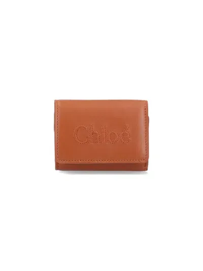 Chloé 'sense' Tri-fold Mini Wallet In Brown