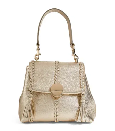 Chloé Small Penelope Soft Shoulder Bag In Gold