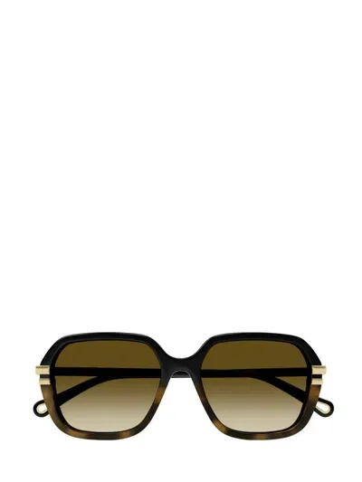 Chloé Eyewear Rectangle Frame Sunglasses In Multi