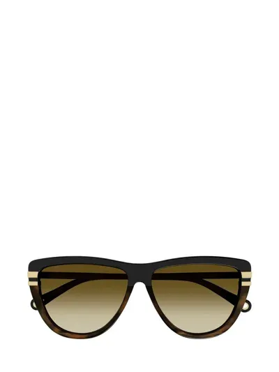 Chloé Eyewear Rectangle Frame Sunglasses In Multi