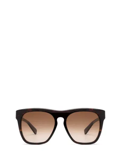 Chloé Ch0149sa Havana Sunglasses In Brown