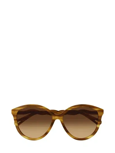 Chloé Eyewear Square Round Framed Sunglasses In Multi